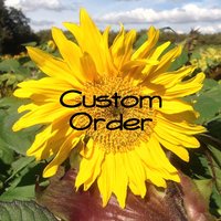 Custom listings