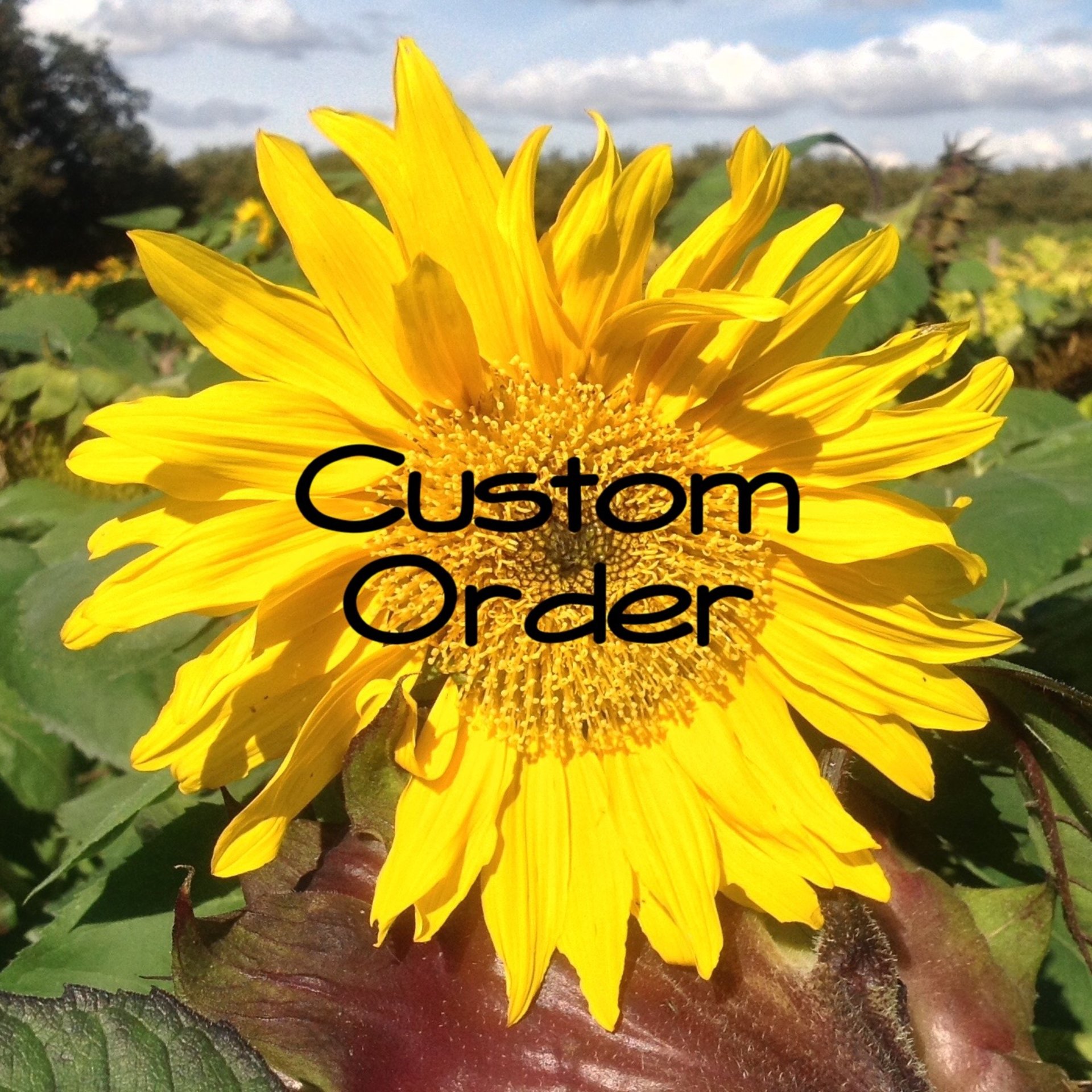 Custom listings